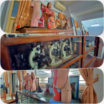 Alat Laboratorium IPA
