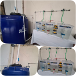 Instalasi Pemanen Air Hujan (Adiwiyata)