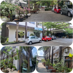 Halaman Depan